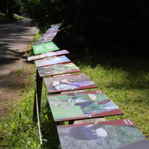Photo 41 - Pieejami ezeri atpūtai visiem arī rudenī
