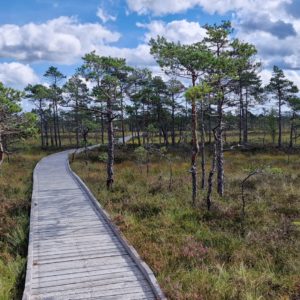 Photo 7 - Riisas dabas taka