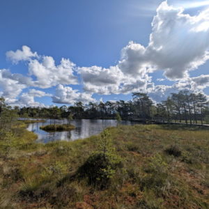 Photo 7 - Rannametsa-Tolkuse Nature Study Trail