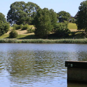 Photo 2 - Vilkmuižas ezera taka un peldvieta