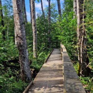 Photo 11 - Bebru takas dabas taka un Somā nacionālā parka apmeklētāju centrs