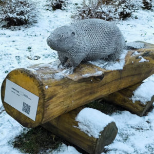 Photo 4 - Access Days pasākums “Sajūtu pusdienas – piedzīvojot iekļaušanu pāri robežām” pulcē ekspertus un starptautiskus partnerus pieejamības jomā