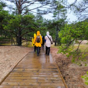 Photo 8 - Exchange of Experiences in Finland – Accessibility by the Water