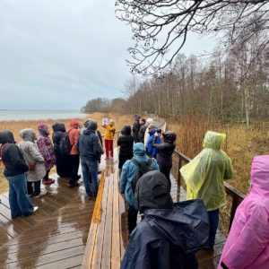 Photo 9 - Exchange of Experiences in Finland – Accessibility by the Water