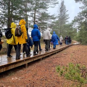 Photo 11 - Exchange of Experiences in Finland – Accessibility by the Water