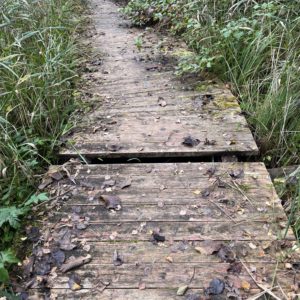 Photo 8 - Vanamõisa järv