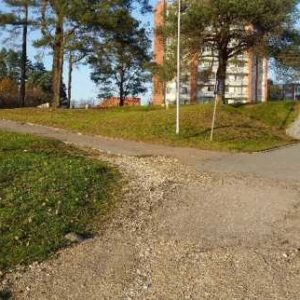 Photo 2 - Ogres frog