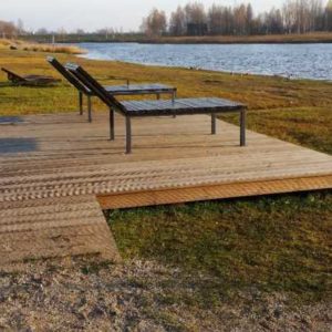 Photo 4 - Ogres frog