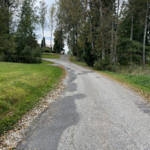 Photo 6 - Lake Vanamõisa