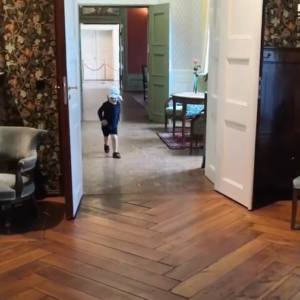 Photo 5 - Alatskivi Castle and Riding Horse Stable