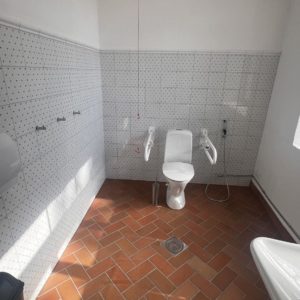 Photo 6 - Alatskivi loss ja sõiduhobuste tall