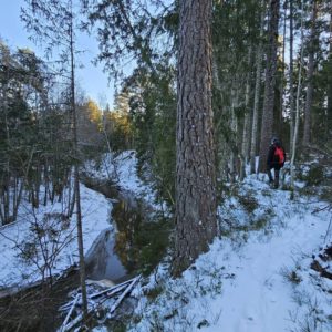 Photo 7 - Rīvas loki