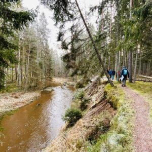 Photo 2 - Rīvas loki