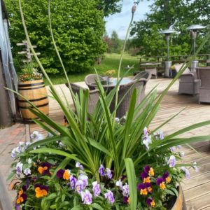 Photo 1 - Murimäe Veinikelder