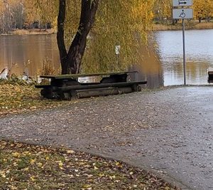 Photo 7 - Lucavsalas atpūtas parks un pludmale