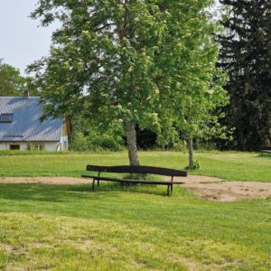 Photo 3 - Rõuge Mary Congregation