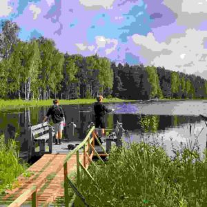 Photo 2 - Putnu koks pie Bilskas ezera