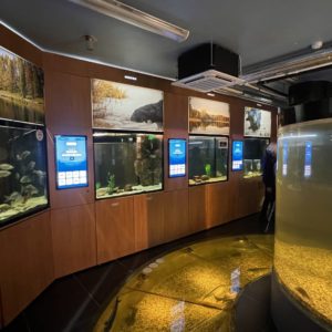 Photo 4 - Eesti Maaülikooli Järvemuuseum