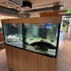 Photo 7 - Eesti Maaülikooli Järvemuuseum