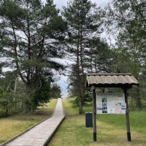 Photo 8 - Gulf of Riga Kurzeme seaside