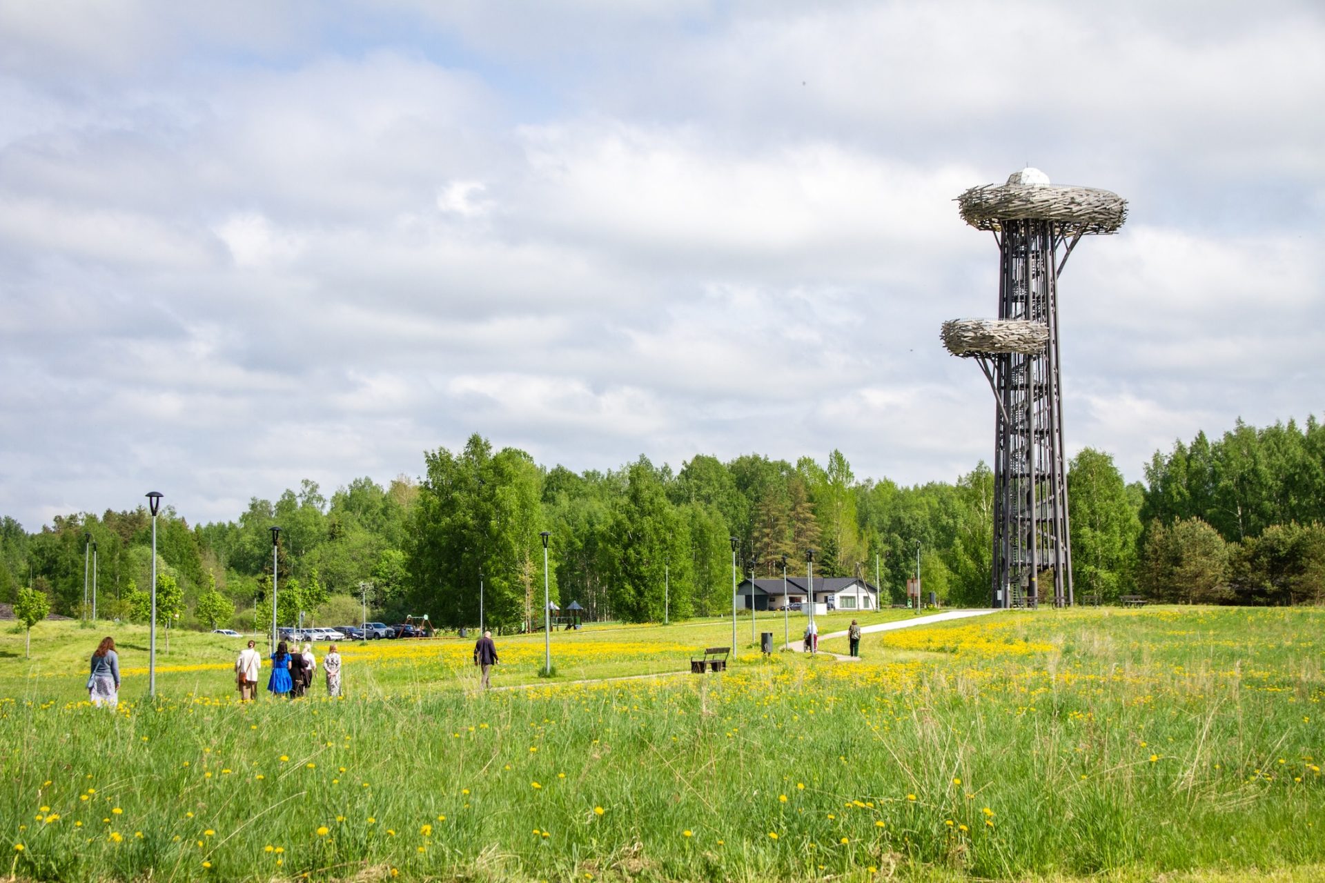 Oobikuorg skatu tornis - kā koks ar divām ligzdām